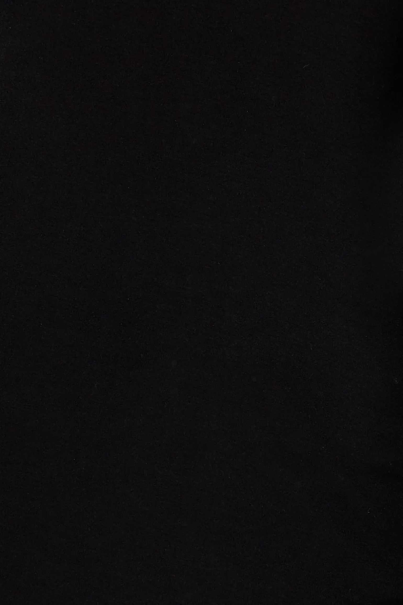 Basic Long Sleeve - Carbon